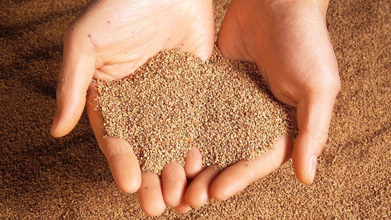 News on Russian dubbed copies of my videos