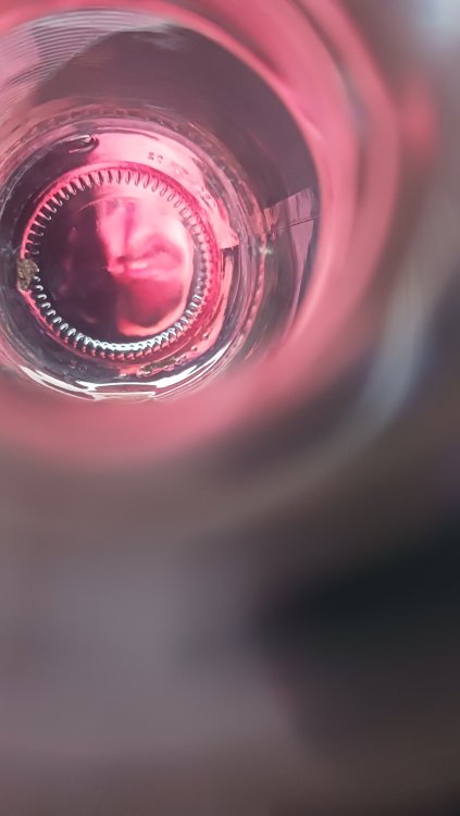 Questions for Videochat November 2022