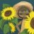 Solarizz