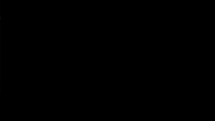 maxpayne.thumb.jpg.df0993cd1343b014664f41583895658f.jpg
